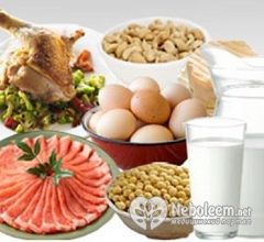 Основные продукты белкового питания