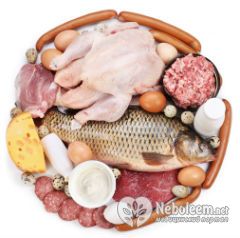 Новая диета - белковая система питания