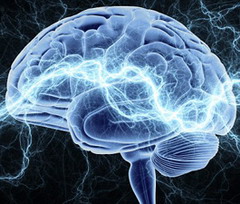 Профилактикой развития вестибуло-атактического синдрома является предупреждение развития ишемии головного мозга 
