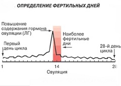 Один из методов определения фертильного периода - температурный