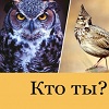 Хронотипы человека - жаворонки и совы