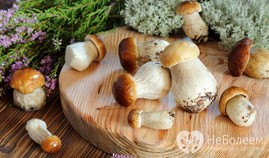 Белые грибы - источник витамина B3