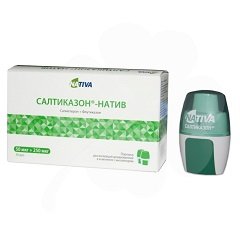 Порошок для ингаляций дозированный Салтиказон-натив