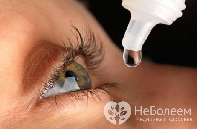 Для лечения акантамебного кератита применяют аминогликозиды в виде глазных капель