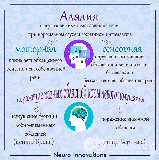 Алалия возникает вследствие органического поражения речевых зон коры головного мозга