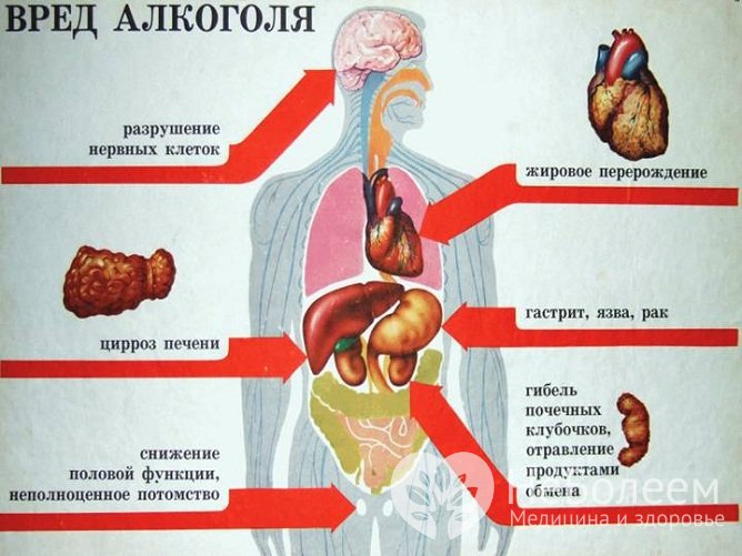 Регулярное употребление алкоголя негативно сказывается на функционировании организма