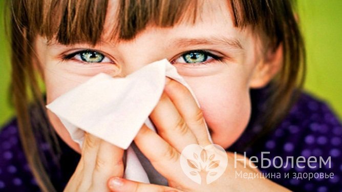 В качестве аллергенов, провоцирующих развитие бронхита, обычно выступают инфекционные и неинфекционные агенты