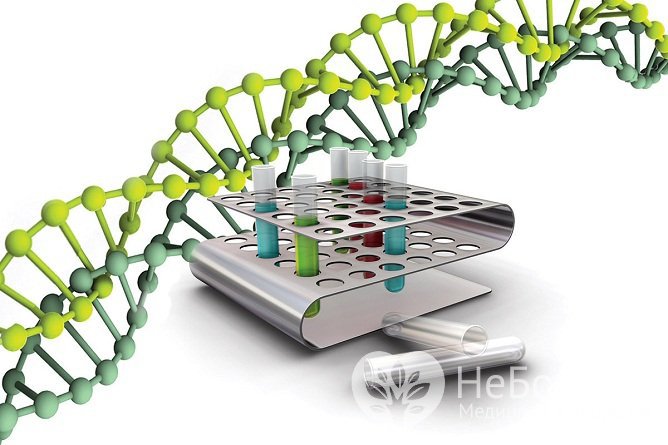 ДНК-диагностика позволяет обнаружить мутации в гене GLA