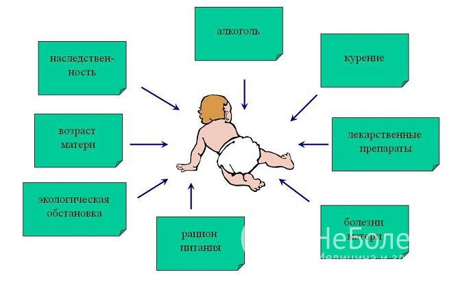 Неблагоприятные факторы, влияющие на развитие анэнцефалии и других пороков развития плода