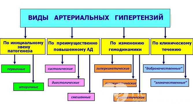 Виды артериальных гипертензий