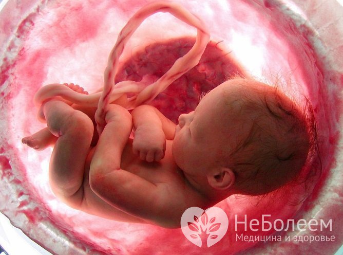 Асфиксия может развиваться на разных стадиях беременности и появления на свет малыша