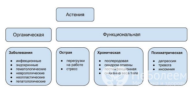 Классификация астении