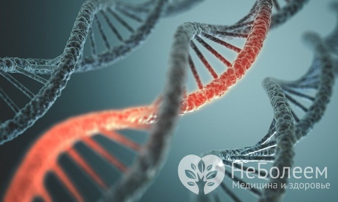 Основная причина бокового амиотрофического склероза – мутация генов