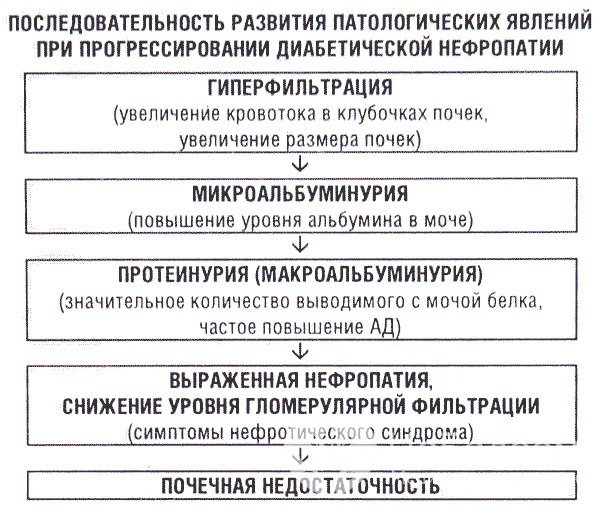 Последовательность развития патологических явлений при диабетической нефропатии