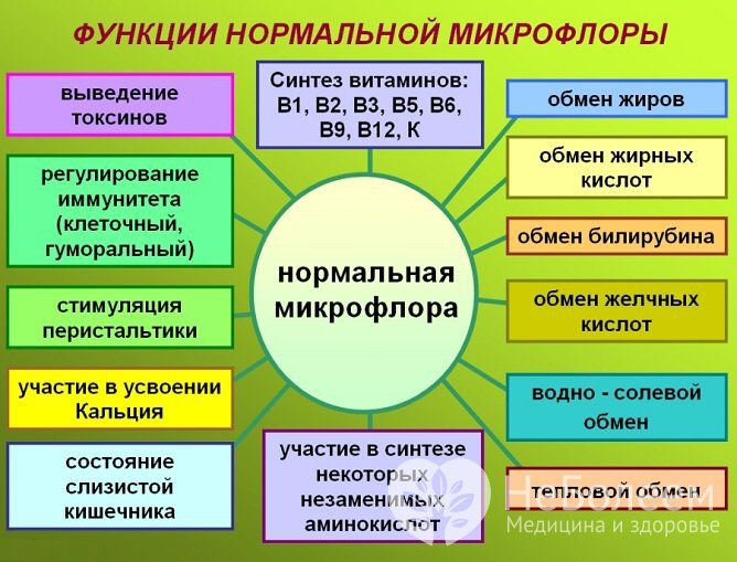 Функции нормальной микрофлоры