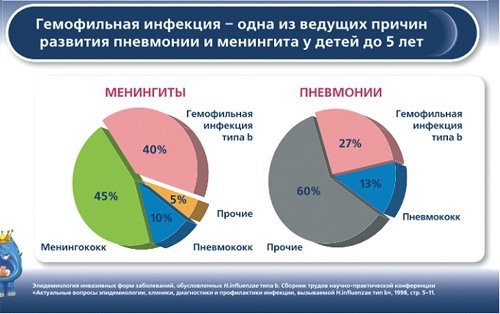 Гемофильная инфекция – одна из ведущих причин развития пневмонии и менингита у детей