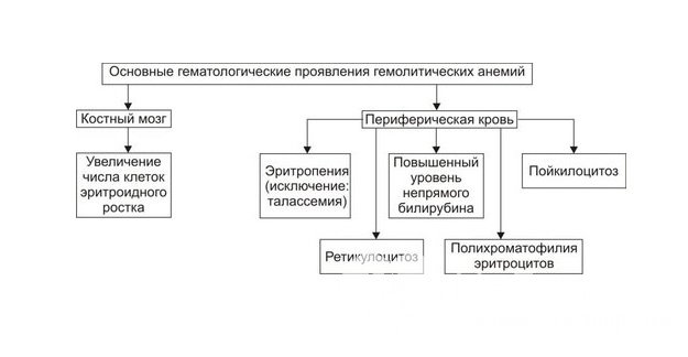 Симптомы гемолитической анемии