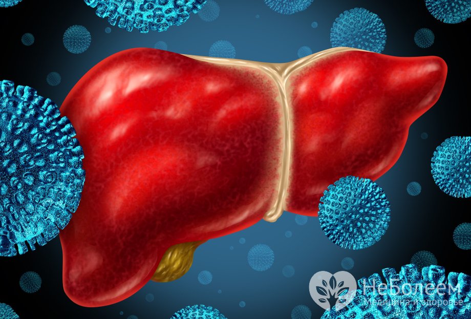 Признаки гепатита B