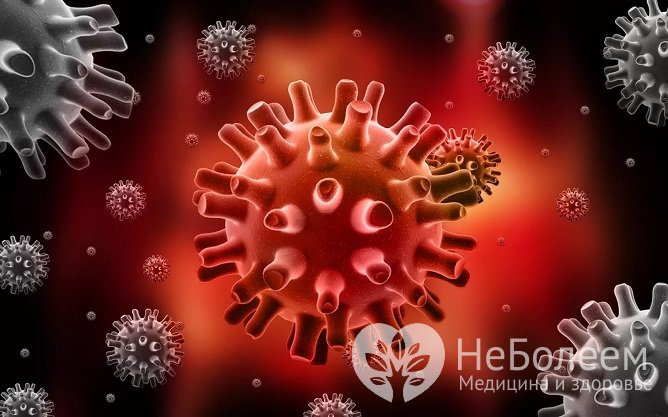 Возбудителям герпеса является вирус Herpesviridae. Насчитывается более 70 его видов