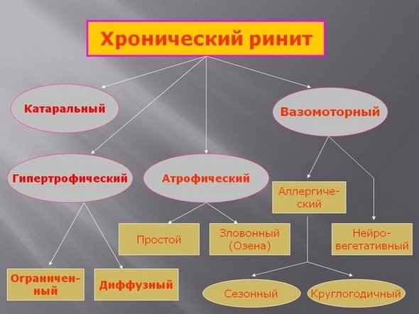 Классификация хронического ринита