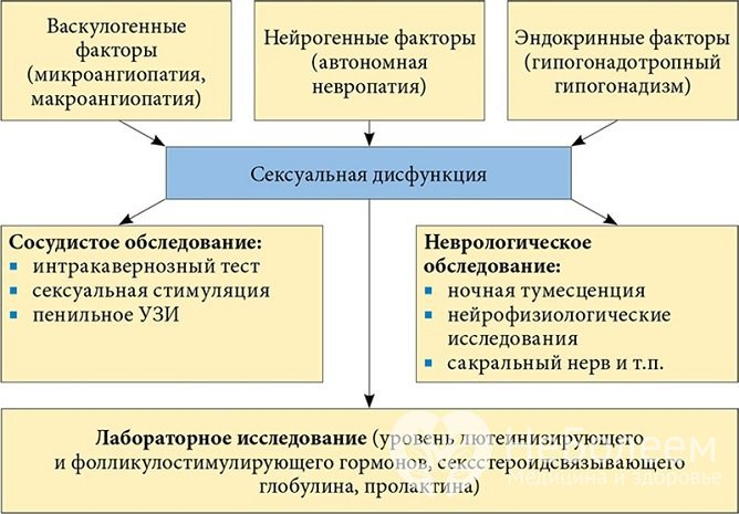 Диагностика эректильной дисфункции направлена на выяснение причины