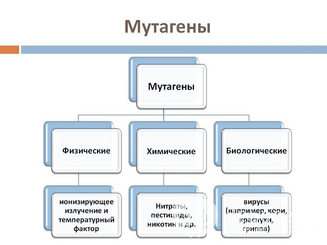 Причин клеточной мутации, приводящей к лейкемии, может быть много