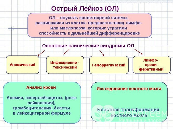 Острый лейкоз проявляется несколькими синдромами