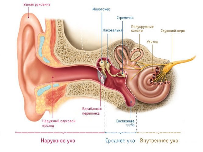 Отит у детей: симптомы и лечение