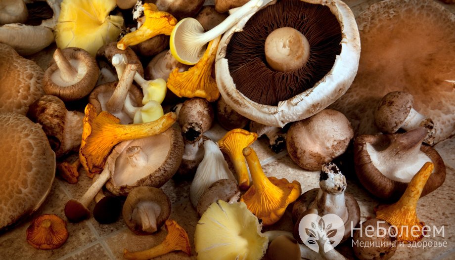 Как происходит отравление грибами?
