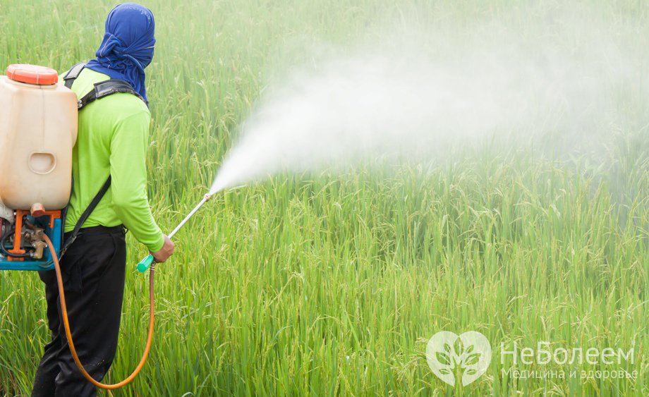 Как происходит отравление пестицидами?