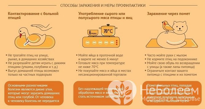 Меры профилактики птичьего гриппа