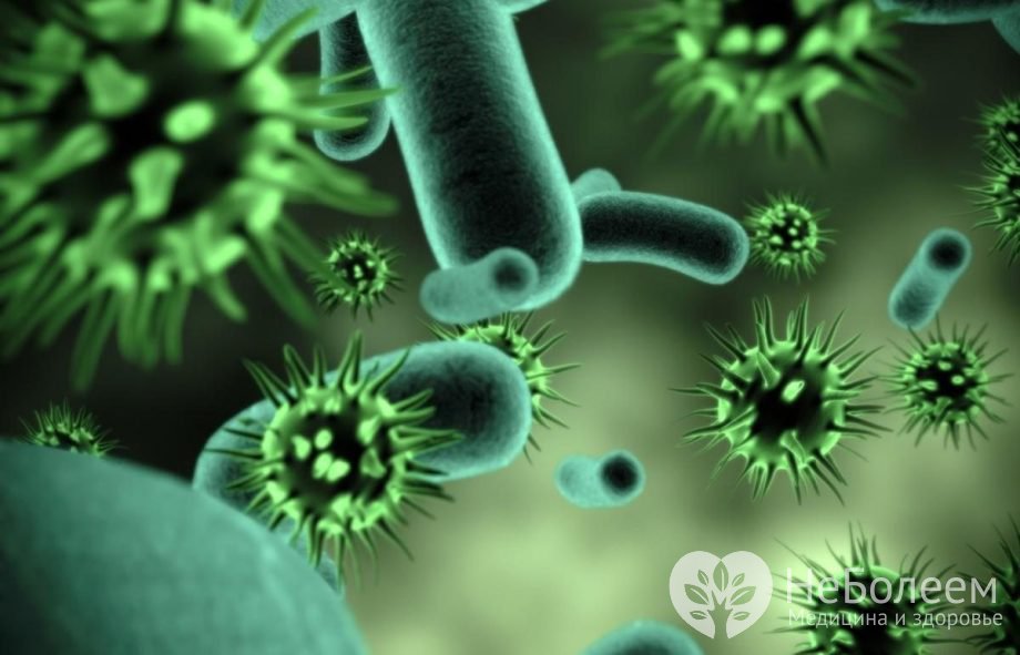 Ureaplasma urealyticum - возбудитель уреаплазмоза
