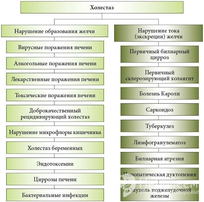 Возможные причины застоя желчи (холестаза)