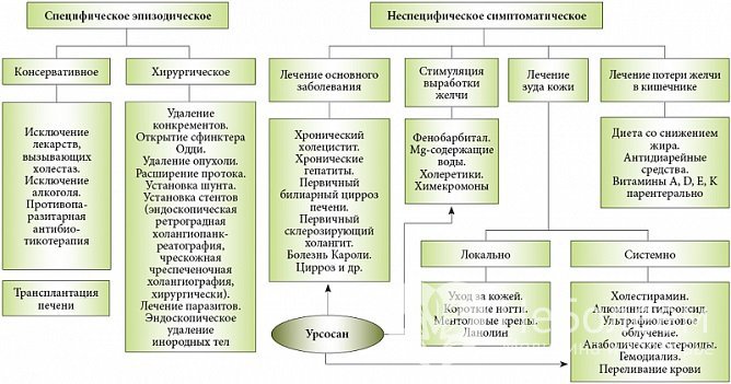 Методы лечения застоя желчи (холестаза)