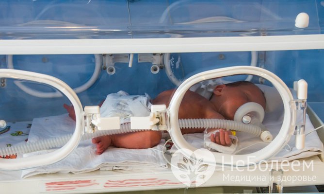 Правила выхаживания недоношенного ребенка: 6 важных особенностей