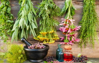 6 правил приготовления домашних лекарств из растений