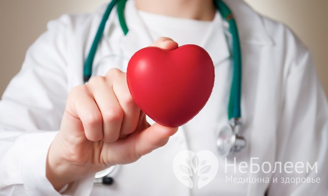 Польза клетчатки для организма человека: защита от болезней сердца
