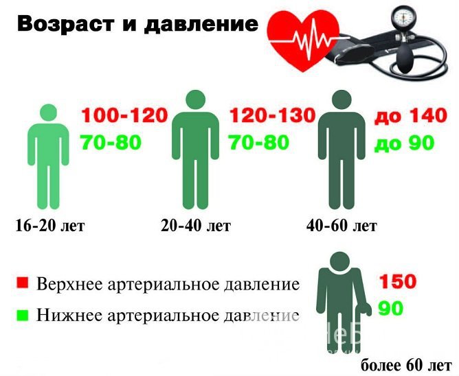 Нормы АД меняются с возрастом