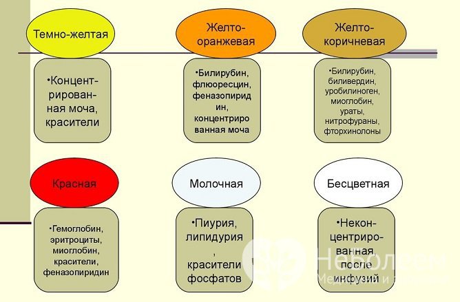 Цвет мочи зависит от имеющихся заболеваний, особенностей питания и питьевого режима, а также употребляемых лекарств