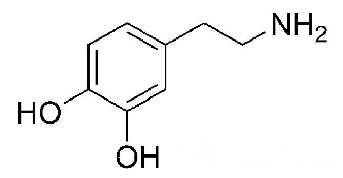 Дофамин - нейромедиатор, который отвечает за состояние удовлетворенности, радость, влюбленность