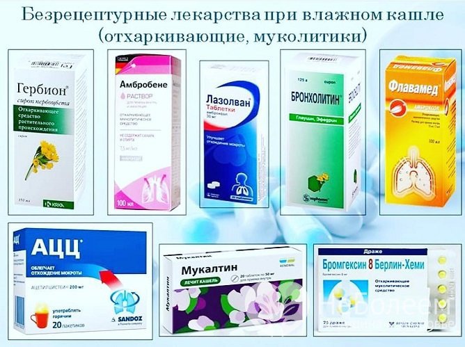 Хорошие отхаркивающие средства при бронхите