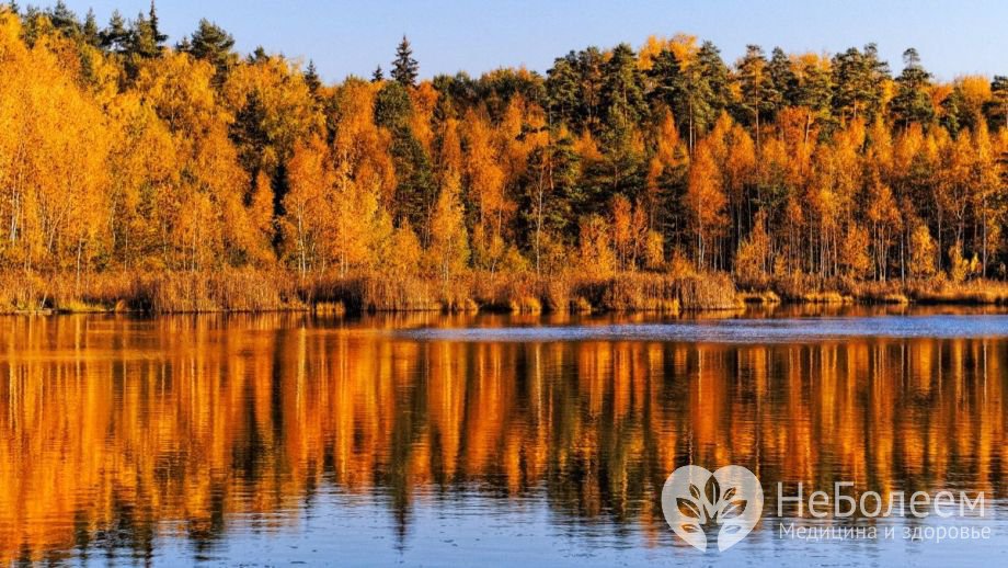 Отсутствие языкового барьера - одно из преимуществ отдыха в Подмосковье