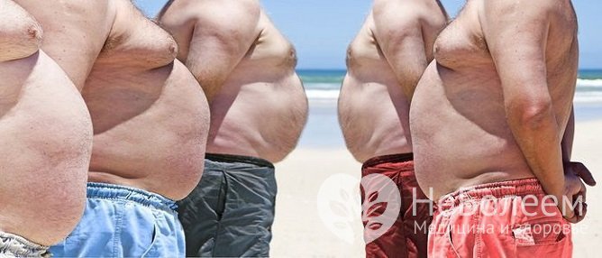 Повышенный уровень эстрадиола у мужчин приводит к развитию ожирения