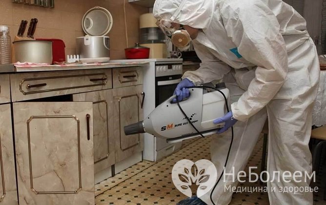 Чтобы избавиться от блох в квартире, можно вызвать специалистов по дезинсекции