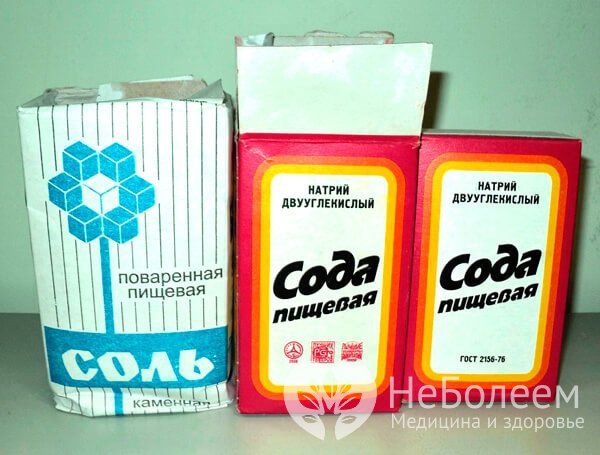 Вывести блох можно с помощью раствора соды и соли, взятых в равных частях