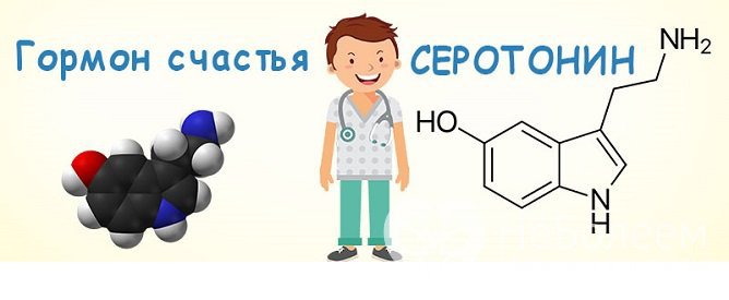 Серотонин называют гормоном счастья, так как он, наряду с дофамином, отвечает за психоэмоциональное состояние человека