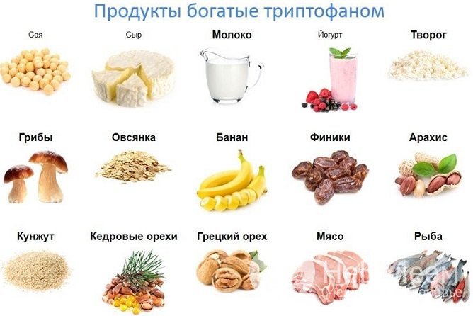 Повысить уровень серотонина в организме можно, регулярно употребляя продукты, богатые триптофаном