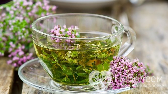Чай из шалфея – одно из средств, которое может быть эффективным дополнением к медикаментозной терапии при афазии