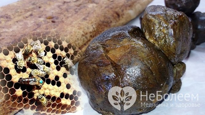 Домашние препараты из прополиса могут быть полезными при бронхите