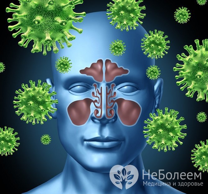 Причиной развития воспалительного процесса обычно являются вирусы, грибки или бактерии